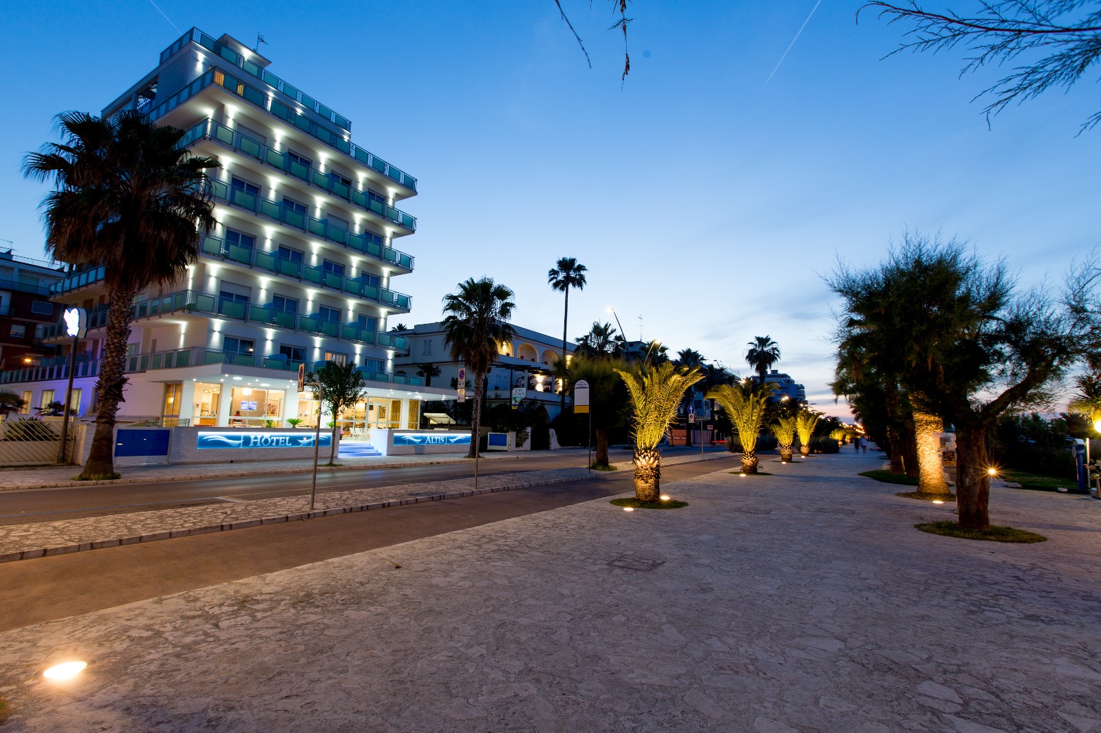 Hotel Altis
